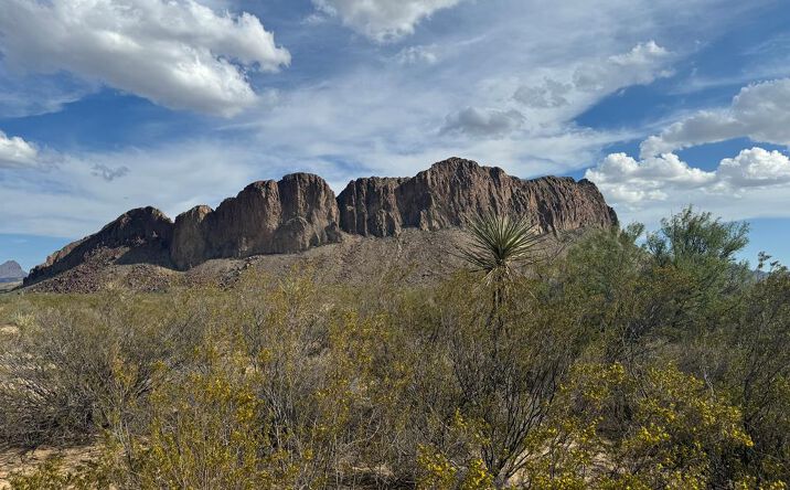 Pictures of Land property located at 4000 Tennyson Desert Trail, Terlingua, TX 79852 for sales - image #1