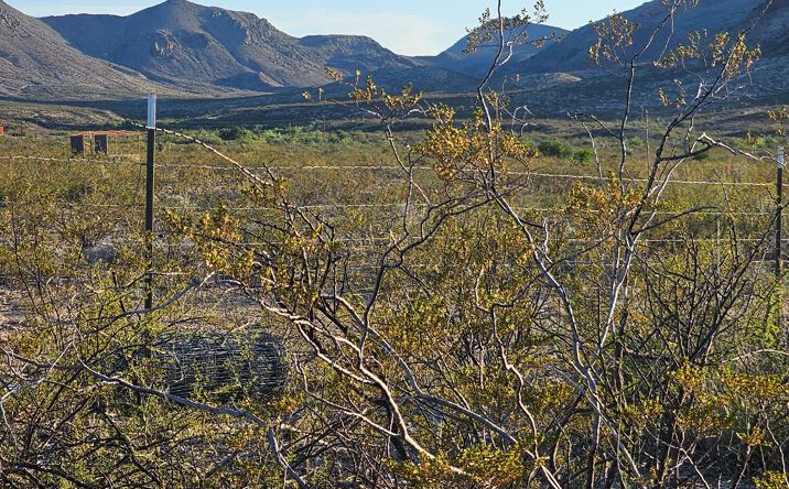 Pictures of Land property located at 701 W Worry Wort Ave., Terlingua, TX 79852 for sales - image #1