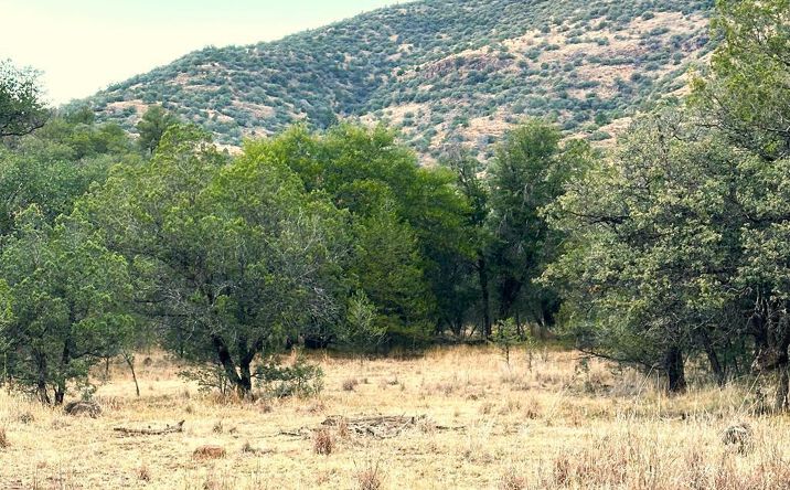 Pictures of Land property located at 100 Tejano Canyon, Fort Davis, TX 79734 for sales - image #1