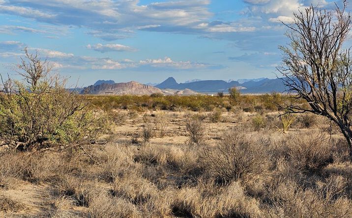 Pictures of Land property located at G 545 Dean Rd., Terlingua, TX 79852 for sales - image #1