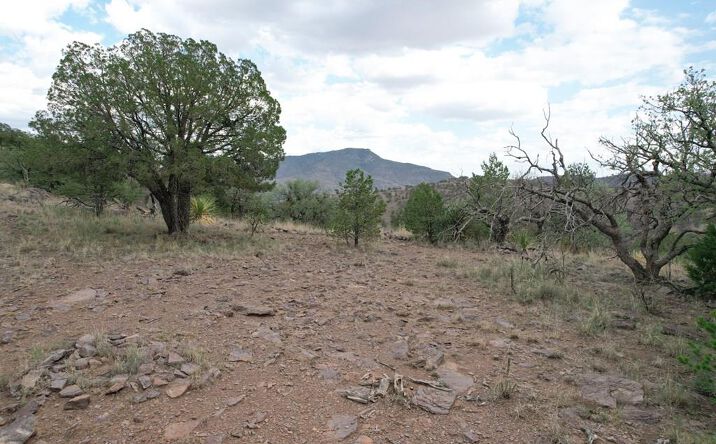 Pictures of Land property located at 325 High Lonesome, Fort Davis, TX 79734 for sales - image #1