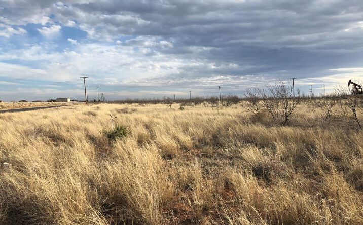 Pictures of Land property located at TBA SE 1000, Andrews, TX 79714 for sales - image #1