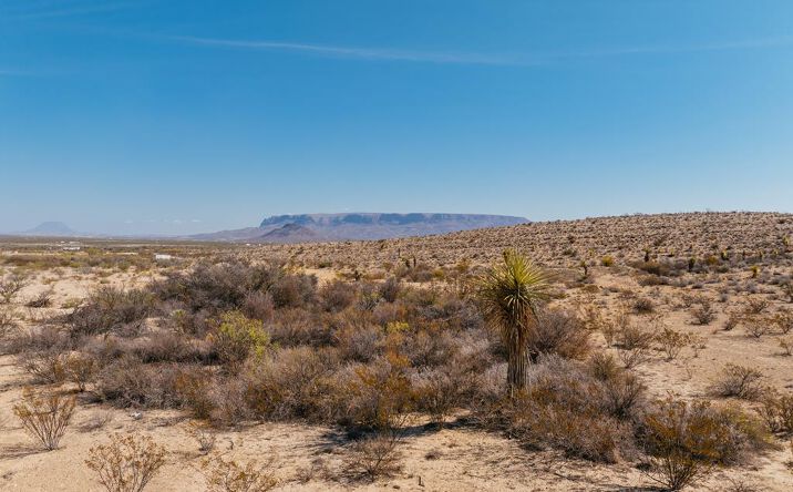 Pictures of Land property located at 51675 118 South, Alpine, TX 79830 for sales - image #1