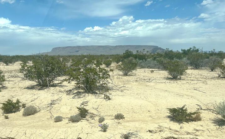Pictures of Land property located at 15218 Lowery-Key Rd, Terlingua, TX 79852 for sales - image #1