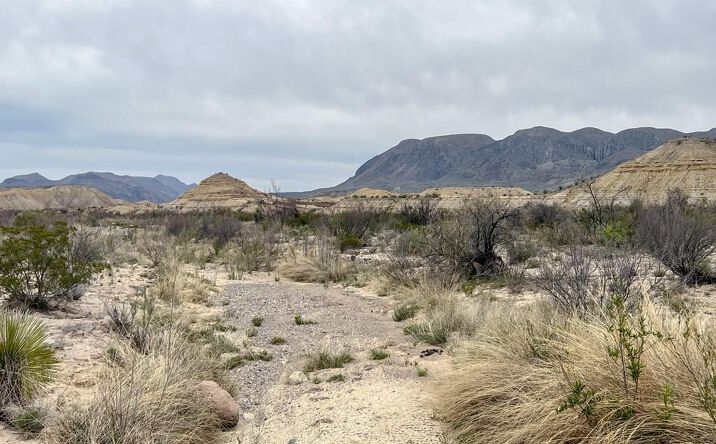 Pictures of Land property located at F726 San Angelo Rd, Terlingua, TX 79852 for sales - image #1