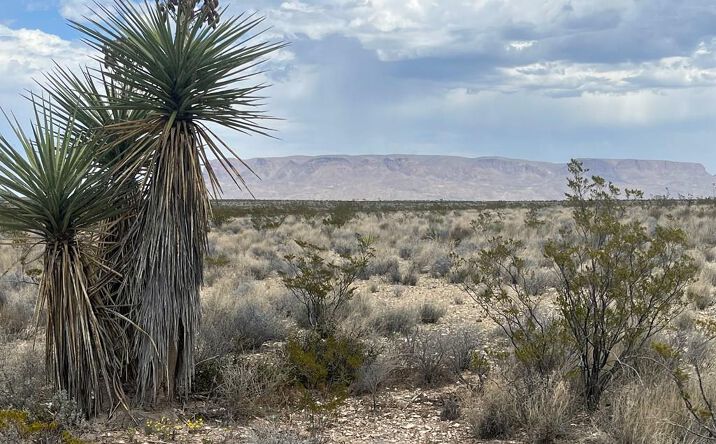 Pictures of Land property located at 14570 Alpha, Terlingua, TX 79852 for sales - image #1