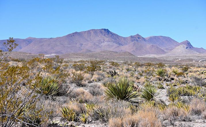 Pictures of Land property located at 6126 Mason, Terlingua, TX 79852 for sales - image #1
