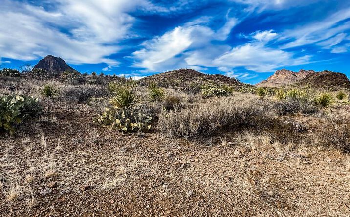 Pictures of Land property located at TR 890C Lake Ament Rd., Terlingua, TX 79852 for sales - image #1