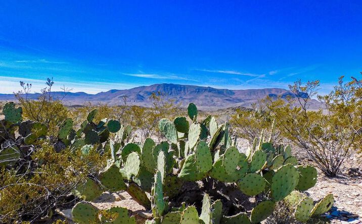 Pictures of Land property located at 6695 Feldspar St., Terlingua, TX 79852 for sales - image #1