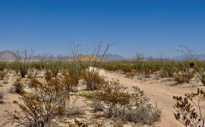Pictures of Land property located at 2637 Martin Cutacross Rd., Terlingua, TX 79852 for sales - image #1