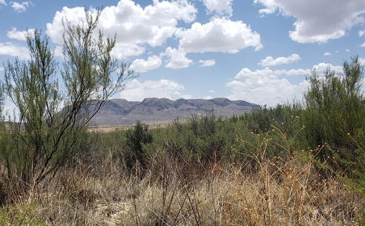 Pictures of Land property located at 822 Tony Hess Rd., Terlingua, TX 79852 for sales - image #1