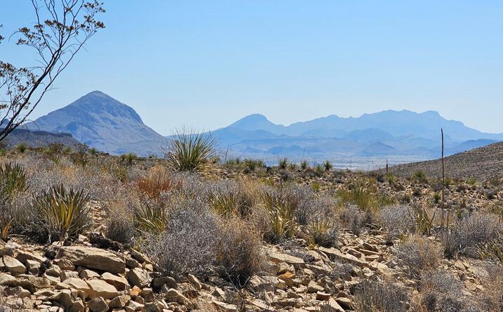 Pictures of Land property located at 2808 E. Echo Ranch Rd., Terlingua, TX 79852 for sales - image #1