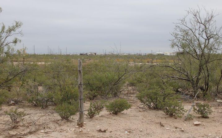 Pictures of Land property located at FM 866, Odessa, TX 79764 for sales - image #1