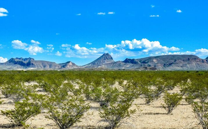 Pictures of Land property located at 19898 Este Rd, Terlingua, TX 79852 for sales - image #1