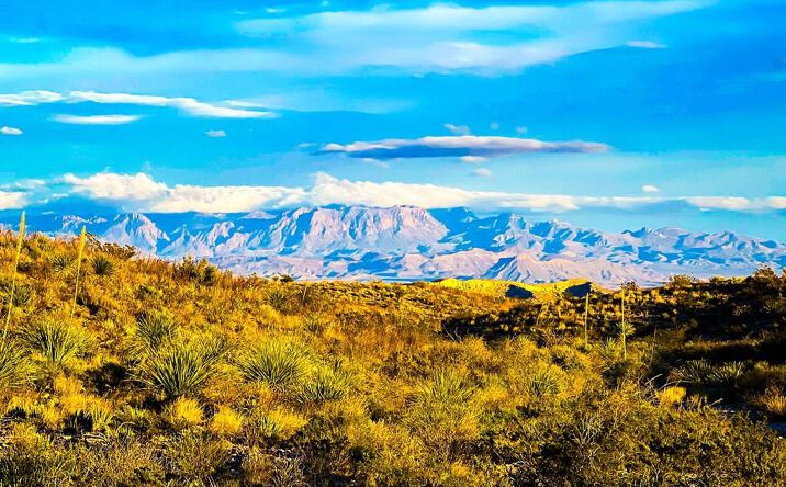 Pictures of Land property located at 22621 Hwy 170, Terlingua, TX 79852 for sales - image #1