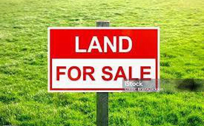 Pictures of Land property located at 0 SW 2000, Andrews, TX 79714 for sales - image #1