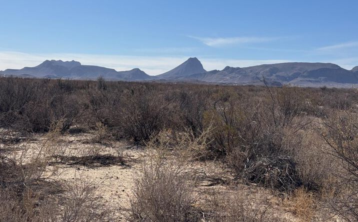 Pictures of Land property located at NC 400 Private Rd, Terlingua, TX 79852 for sales - image #1