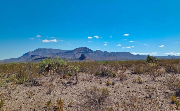 Pictures of Land property located at 20600 Jackass Rd, Terlingua, TX 79852 for sales - image #1