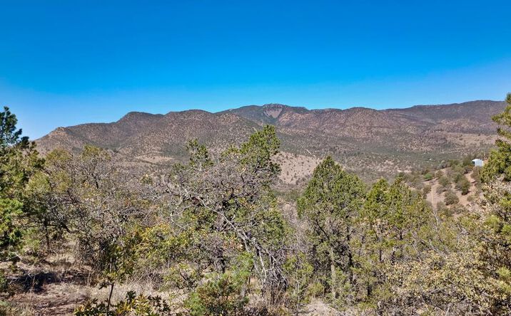 Pictures of Land property located at 217 Squaw Valley Trail, Fort Davis, TX 79734 for sales - image #1