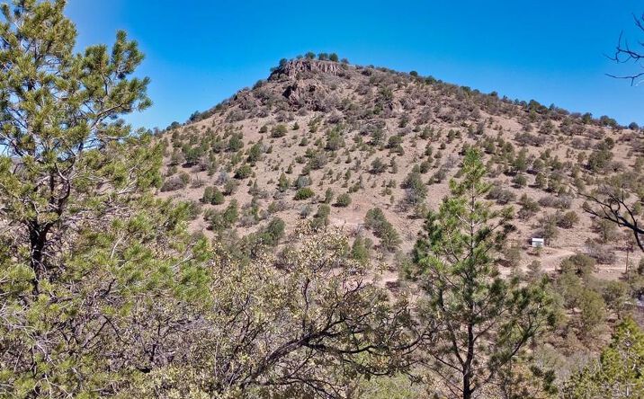 Pictures of Land property located at 215 Squaw Valley Trail, Fort Davis, TX 79734 for sales - image #1