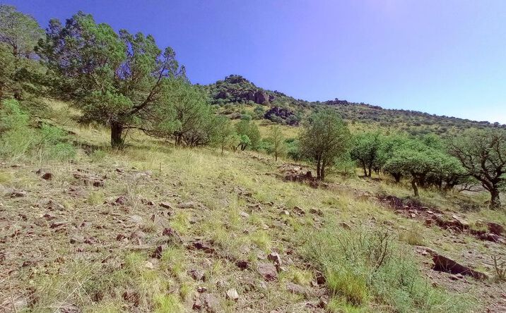 Pictures of Land property located at 519 Squaw Valley Trail, Fort Davis, TX 79734 for sales - image #1