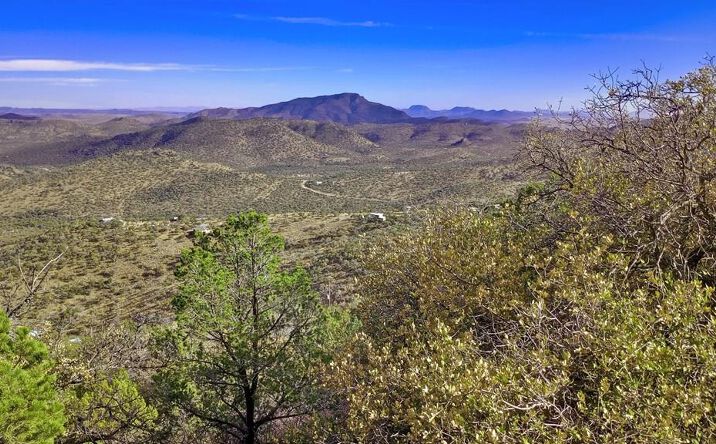 Pictures of Land, Multifamily property located at 308 Low Meadow Trail, Fort Davis, TX 79734 for sales - image #1