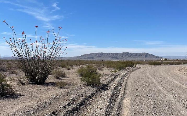 Pictures of Land property located at 0 SW Ranch Rd, Presidio, TX 79845 for sales - image #1
