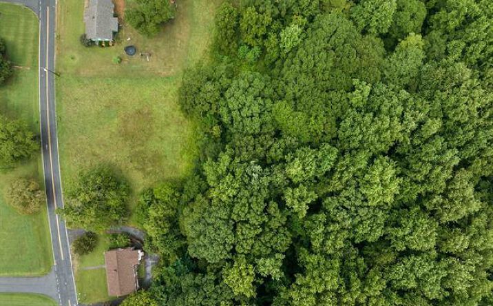 Pictures of Land property located at 00 Reece Mill Road, Pickens, SC 29671 for sales - image #1