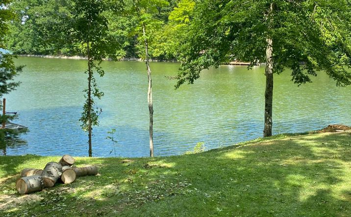 Pictures of Land property located at 7326 State Route 19 #Unit 3 Lot 29, Mount Gilead, OH 43338 for sales - image #1