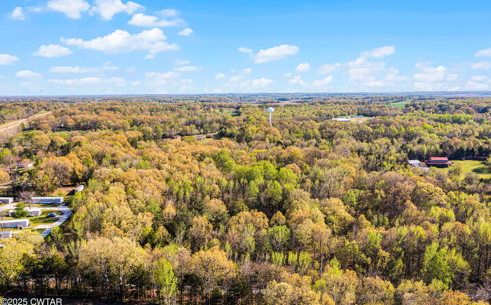 Pictures of Land property located at 0 Griffin Chapel Road, Bradford, TN 38316 for sales - image #1