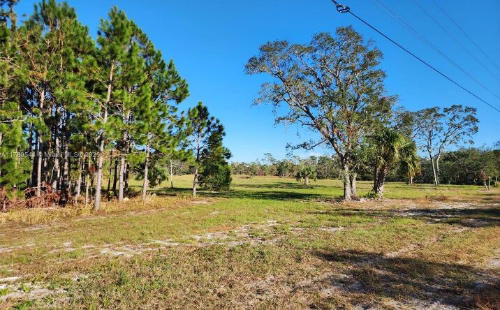 Pictures of Land property located at Beach Rd, Other City - In The State Of Florida, FL 32348 for sales - image #1