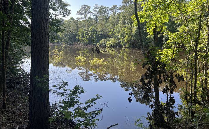 Pictures of Land property located at 0 Cravens Camp Rd, Silsbee, TX 77656 for sales - image #1