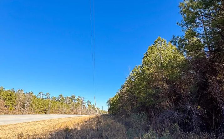 Pictures of Land property located at Wilcoxen Forest, Hamburg, AR 71646 for sales - image #1