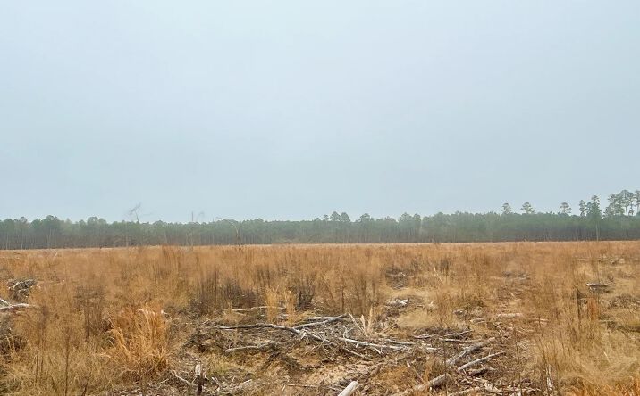 Pictures of Land property located at County Rd. 8, Hampton, AR 71744 for sales - image #1