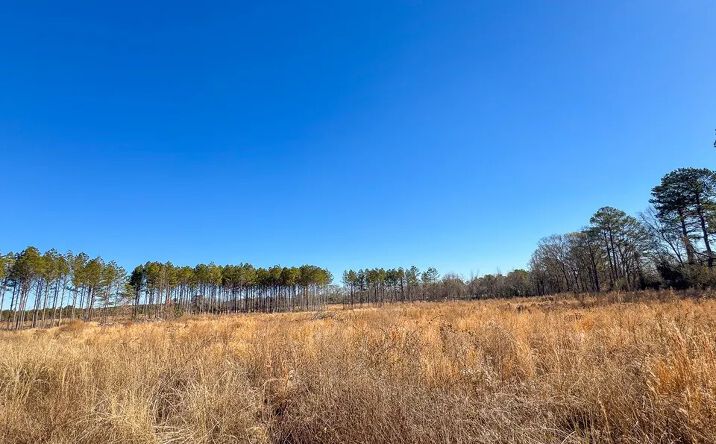 Pictures of Land property located at Pitt Road, Crossett, AR 71635 for sales - image #1
