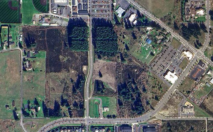 Pictures of Retail property located at 15010 Berry Valley Rd SE, Yelm, WA 98597 for sales - image #1