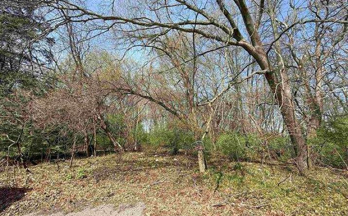 Pictures of Land property located at Charles St, South Bend, IN 46635 for sales - image #1