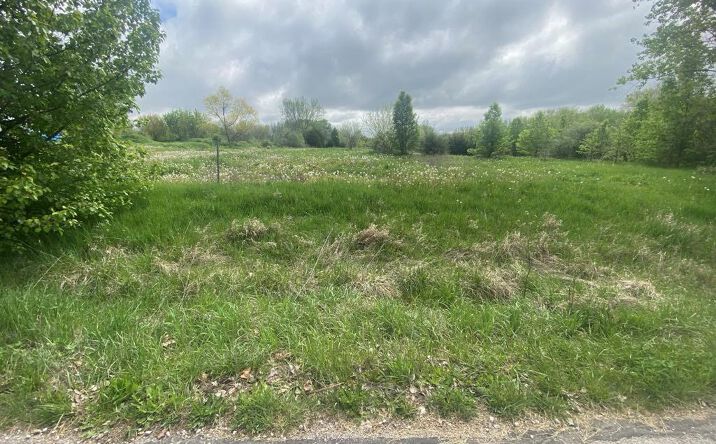 Pictures of Land, Multifamily property located at 16380 Joy Drive, Lawson, MO 64062 for sales - image #1