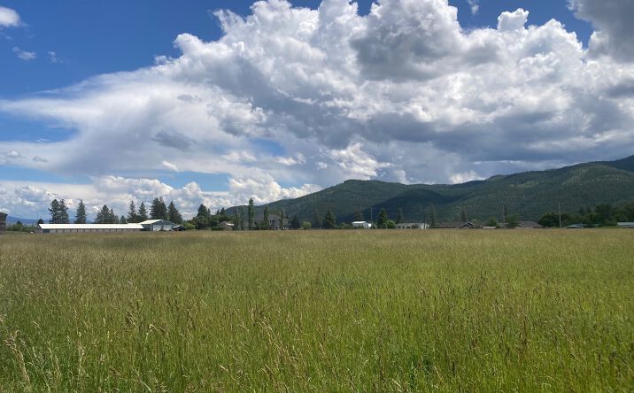 Pictures of Land property located at Lot 1 Huson Road, Huson, MT 59846 for sales - image #1