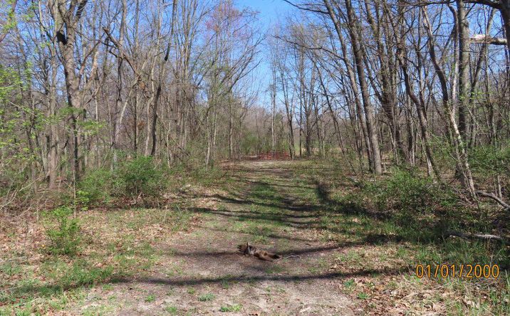 Pictures of Land property located at V / L Redfield, Edwardsburg, MI 49112 for sales - image #1