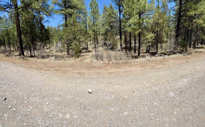 Pictures of Land property located at Lot15c Timber Drive, Timberon, NM 88350 for sales - image #1