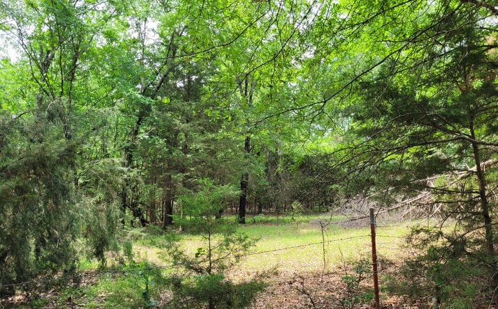 Pictures of Land property located at TBD County Rd 3145, Clarksville, TX 75426 for sales - image #1