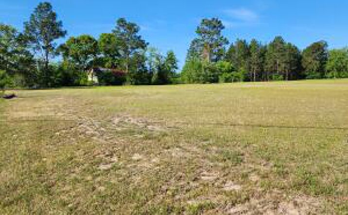 Pictures of Land property located at Tbd Snipes Pond Road, Aiken, SC 29805 for sales - image #1