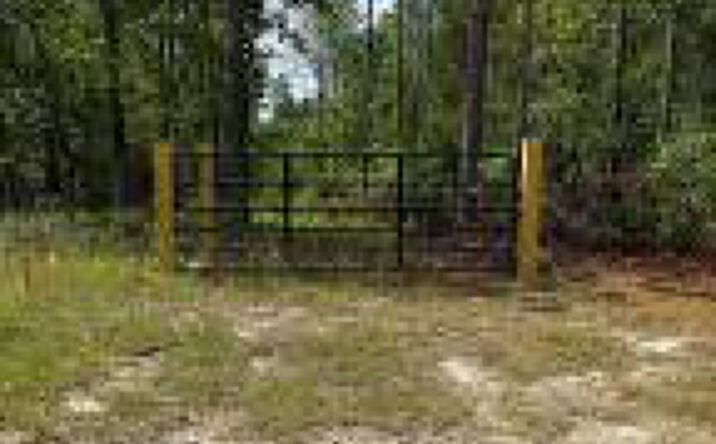 Pictures of Land property located at Lot 1 Sawyer Road, Monetta, SC 29105 for sales - image #1