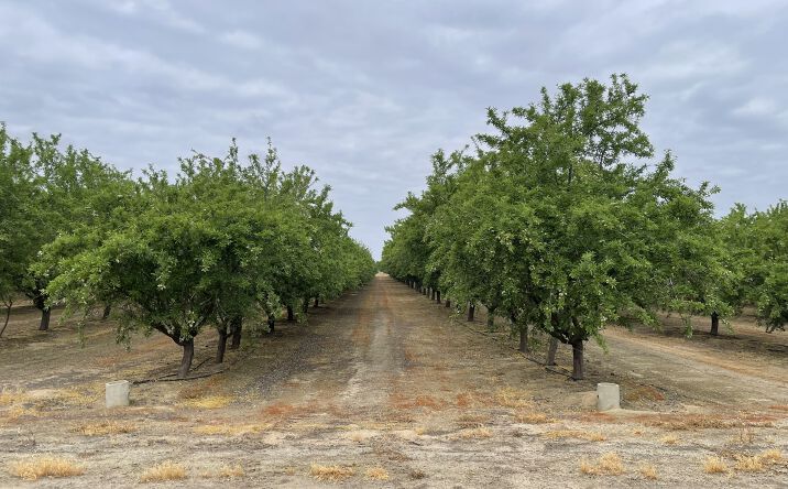 Pictures of Land property located at E. of Rd. 29, 1± mi. NE of Madera, Madera, CA 93636 for sales - image #1