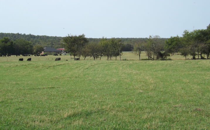 Pictures of Land property located at Rouse Rd, McAlester, OK 74501 for sales - image #1