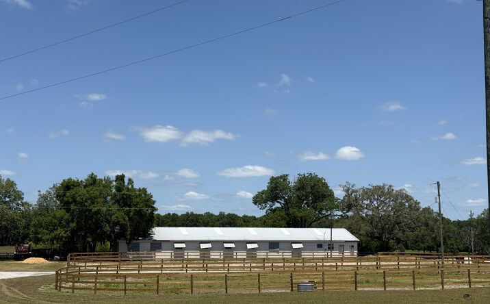 Pictures of Land property located at 2095 SW 140th Ave, Ocala, FL 34481 for sales - image #1