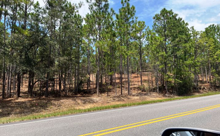 Pictures of Land property located at AL-225, Spanish Fort, AL, Spanish Fort, AL 36527 for sales - image #1