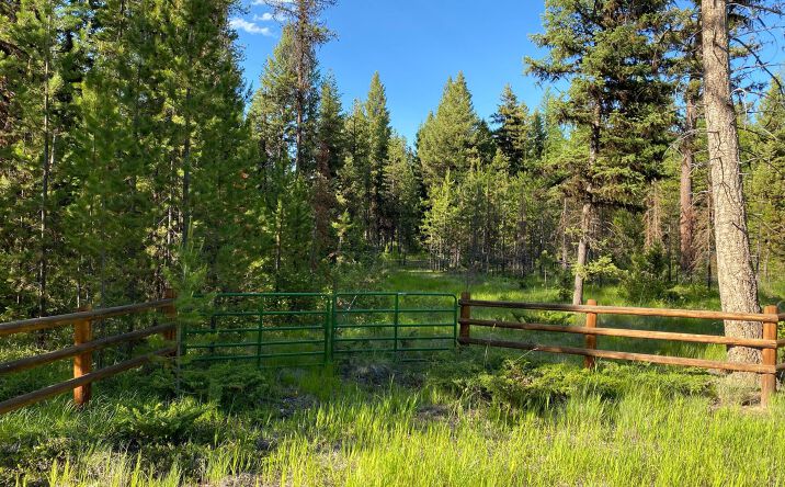 Pictures of Land property located at 215 Lodgepole Drive, Marion, MT 59925 for sales - image #1
