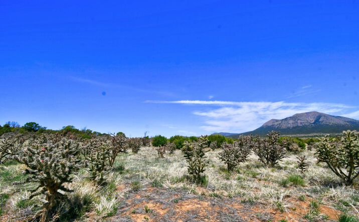 Pictures of Land property located at 201 Entranosa/ LOT 2 Road, Edgewood, NM 87015 for sales - image #1